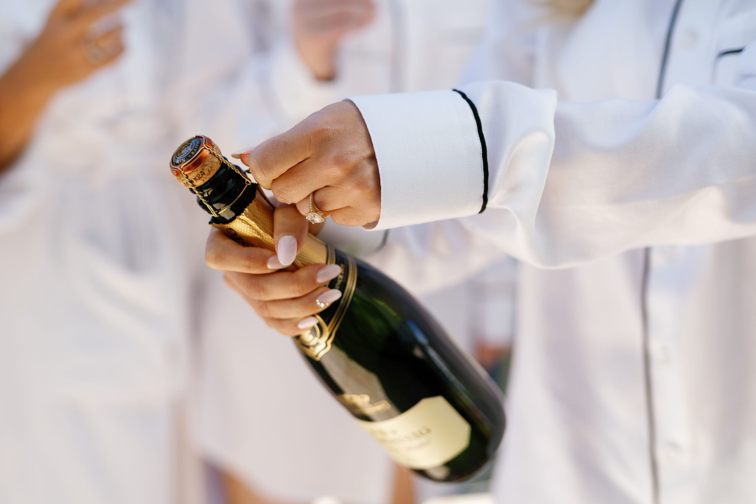 Aneli & Sam’s Winelands Wedding