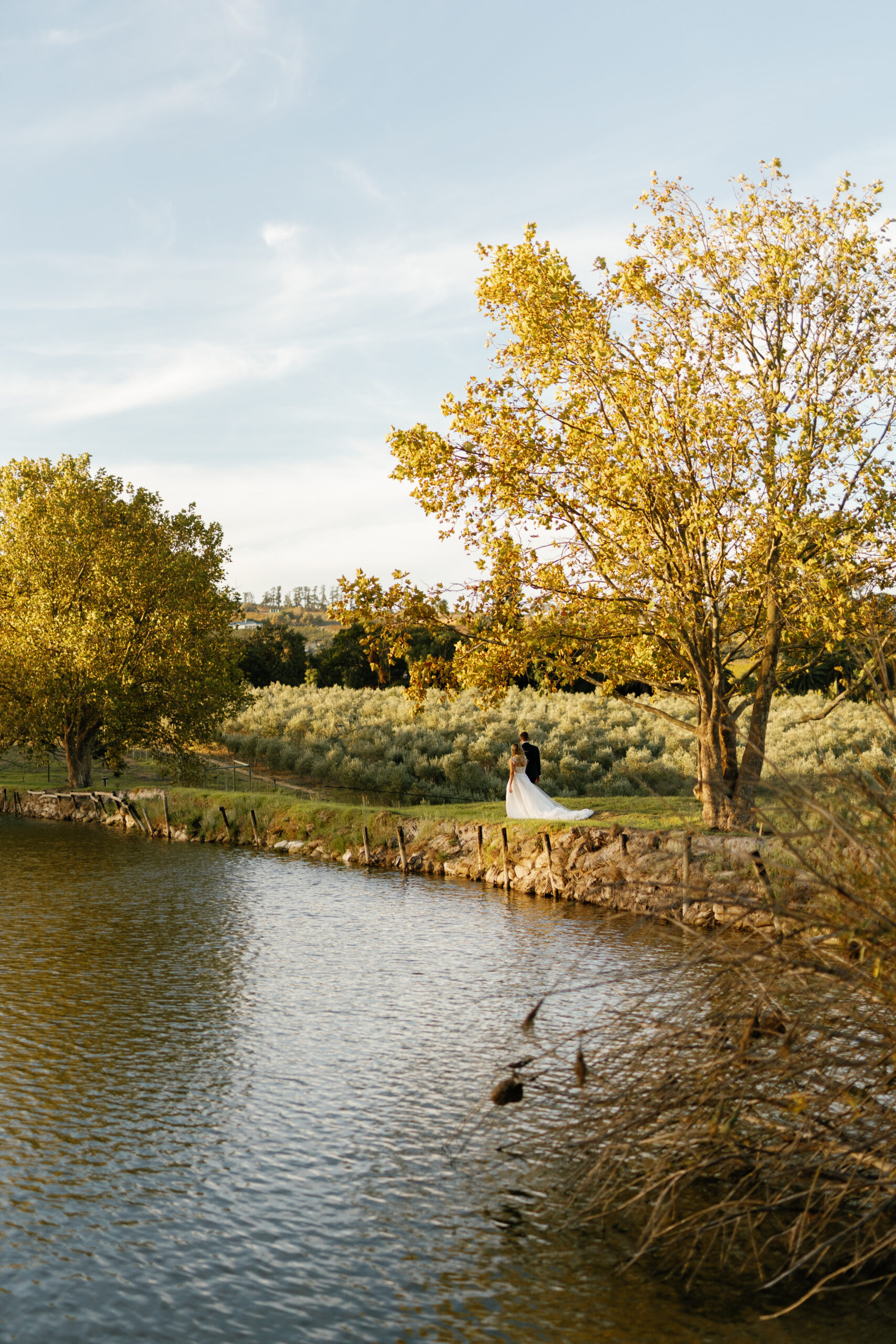 Aneli & Sam’s Winelands Wedding