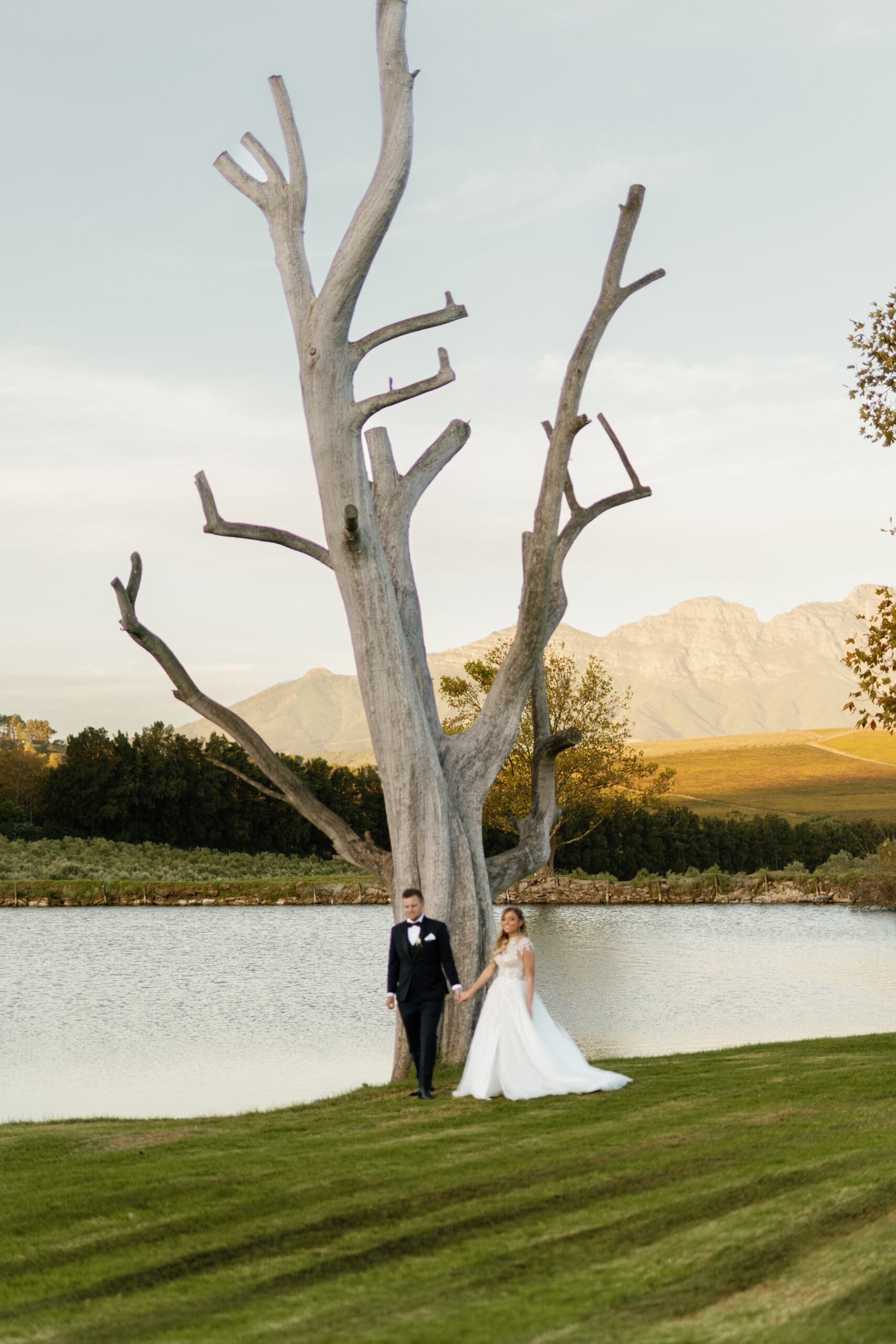 Aneli & Sam’s Winelands Wedding